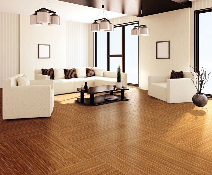 最美，不過當(dāng)陽光遇上森林