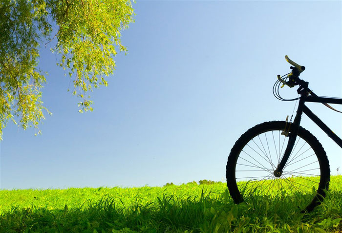 即便是春風(fēng)十里，依然不如你